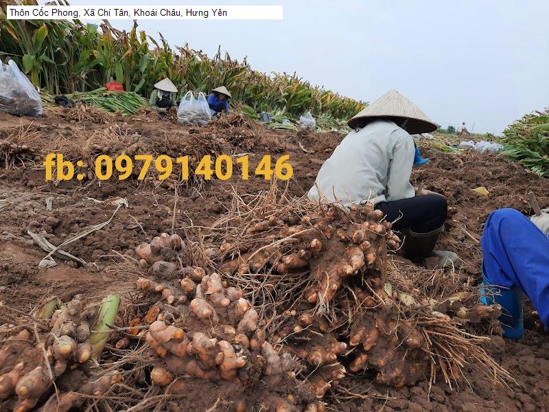 Thôn Cốc Phong, Xã Chí Tân, Khoái Châu, Hưng Yên